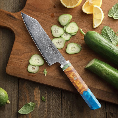 Chefswords 5" Utility Knife 67 Layer AUS10 Damascus Steel Chef Knife