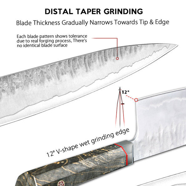 Chefswords 8 Inch Professional VG10 Japanese Gyuto Knife